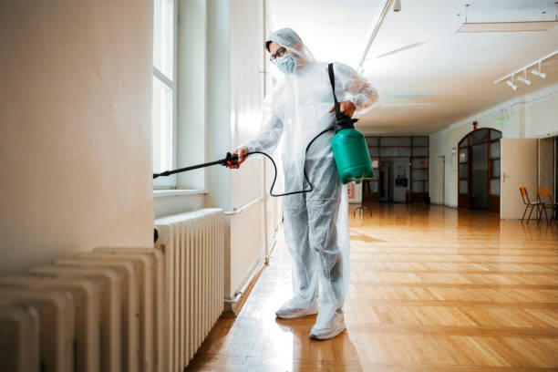 Wasp Removal Services in Chicago Heights, IL
