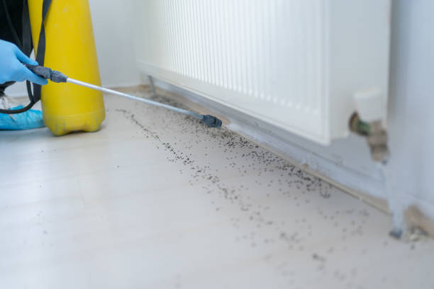 Best Best Pest Control Companies  in Chicago Heights, IL