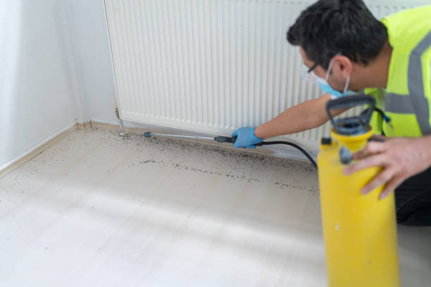 Best Pest Removal Services  in Chicago Heights, IL